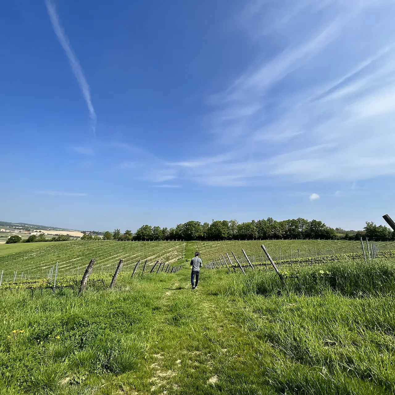 Cantine_Gavioli